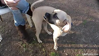 12362 pussy porn videos